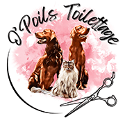 Logo_header